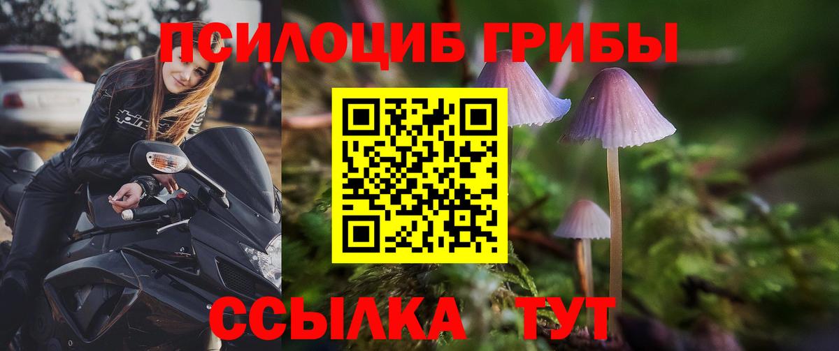 Псилоцибиновые грибы Magic Shrooms  Галлюциногенные грибы MAGIC MUSHROOMS  Протвино  Вход с VPN 